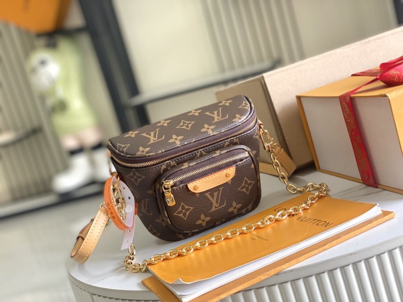 LV Satchel bags